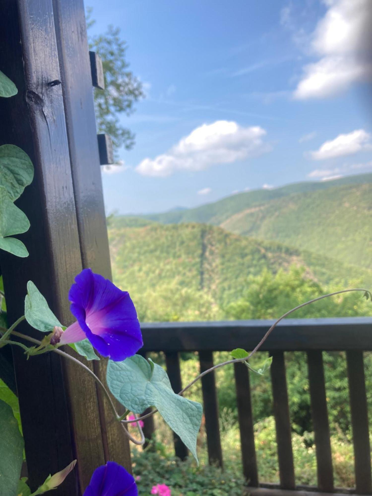 Agriturismo Becerca Vegan Serra San Quirico Екстериор снимка
