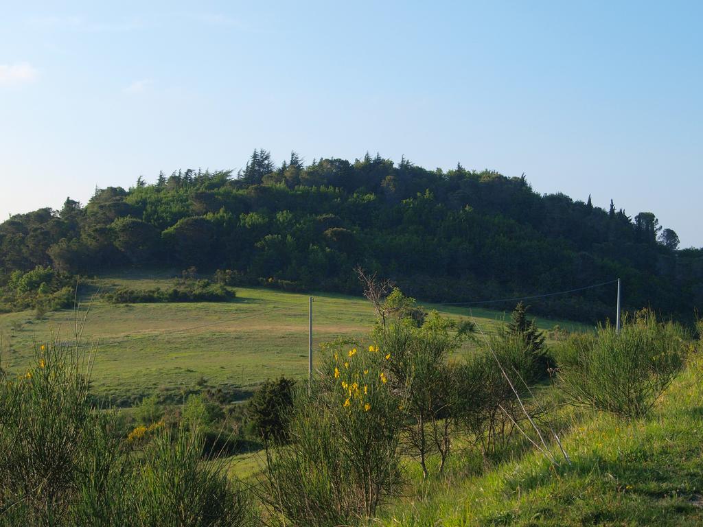 Agriturismo Becerca Vegan Serra San Quirico Екстериор снимка