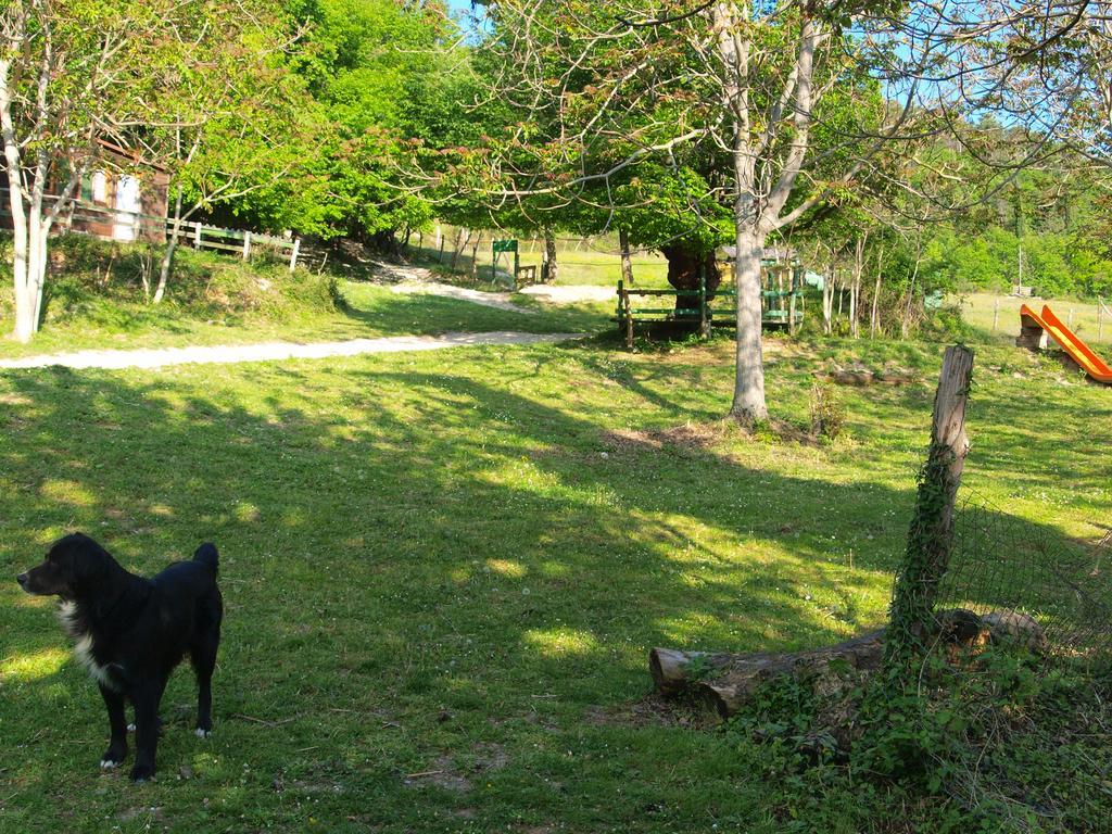 Agriturismo Becerca Vegan Serra San Quirico Екстериор снимка